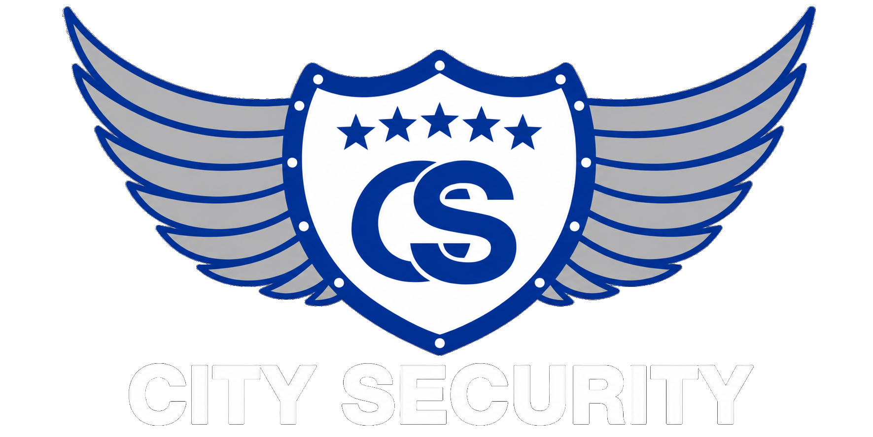City Security